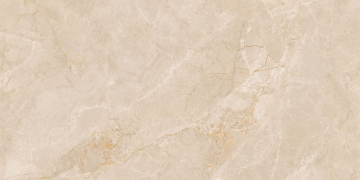 Керамогранит EXM301 60x120x9 Непол.Рект. (Керамический гранит)-2