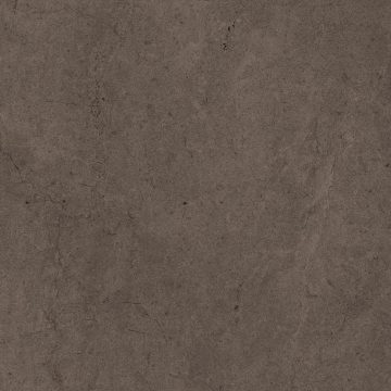 Керамогранит GO11 60x60x9 Непол.Рект. (Керамический гранит) #4