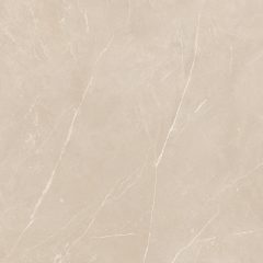 Керамогранит NL01 60x60x9 Непол.Рект. (Керамический гранит) #19
