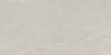 Керамогранит  NL00 60x120x10 Непол.Рект. (Керамический гранит) _5