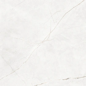 Керамогранит  RE01 40,5x40,5х8 Непол. (Керамический гранит) (43,296 м2) _17