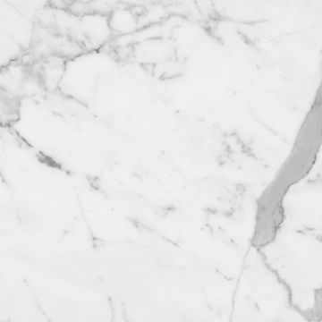 Керамогранит  TF03 60x60 Непол.Рект. (Керамический гранит) _6