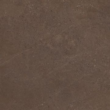 Керамогранит GO03 60x60x9 Непол.Рект. (Керамический гранит)