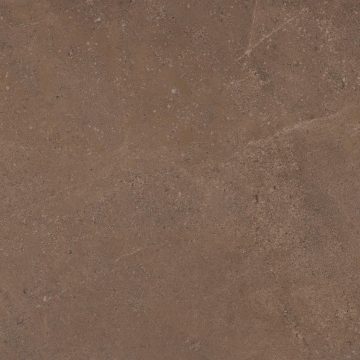 Керамогранит GO02 60x60 Непол.Рект. (Керамический гранит) #4