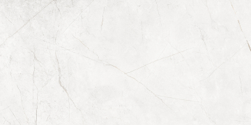 Керамогранит NL00 60x120x9 Полир. (Керамический гранит)-1