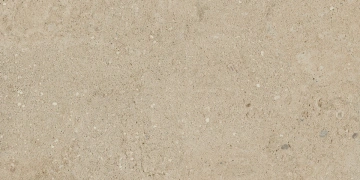 Керамогранит  NP01 30,6x60,9x8 Непол. (Керамический гранит) _4