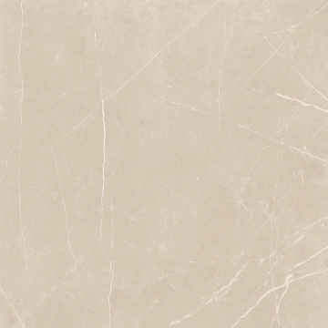 Керамогранит  NL00 60x60x10 Непол.Рект. (Керамический гранит) _3