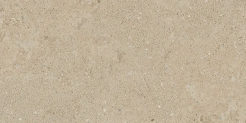Керамогранит  NP01 30,6x60,9x8 Непол. (Керамический гранит) _3