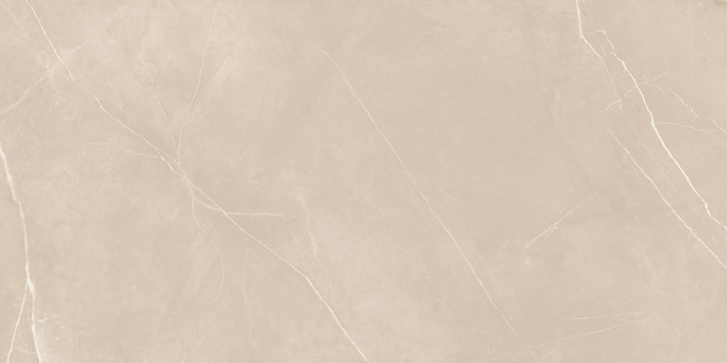 Керамогранит NL01 60x120x10 Полир. (Керамический гранит)-9