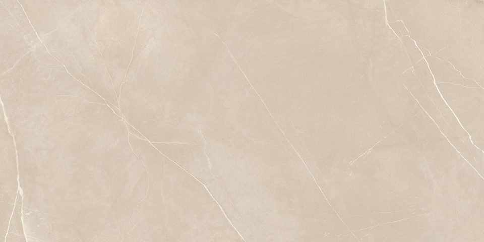 Керамогранит NL01 60x120x10 Полир. (Керамический гранит) — лицо плитки 8
