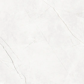 NL00 60x60x9 Полир. (Керамический гранит)_6