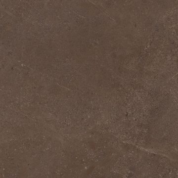 Керамогранит GO03 60x60x9 Непол.Рект. (Керамический гранит) #6