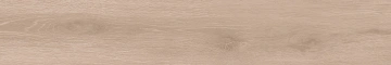 Керамогранит  BG01 19,4x120x10 Непол.Рект. (Керамический гранит) _12