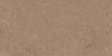 NP03 30,6x60,9x8 Непол. (Керамический гранит)_11