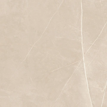 Керамогранит  NL00 60x60x10 Полир. (Керамический гранит) _3