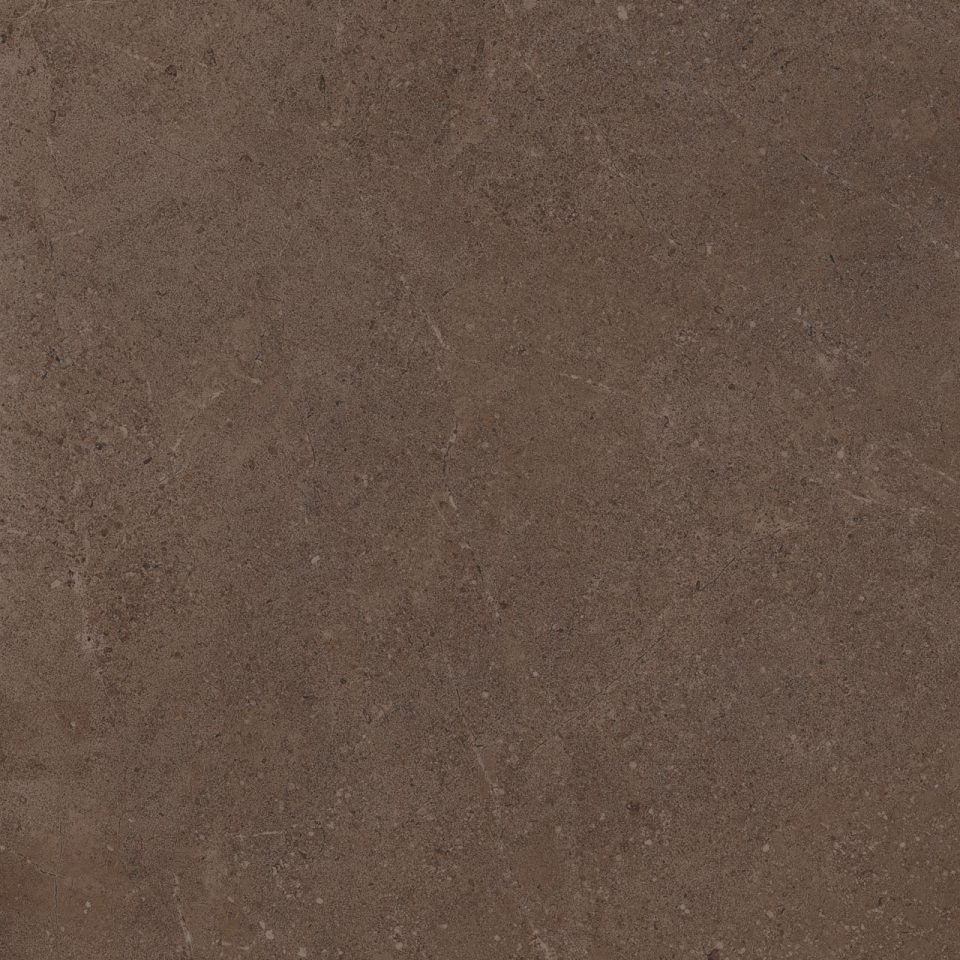Керамогранит GO03 60x60x9 Непол.Рект. (Керамический гранит) #2