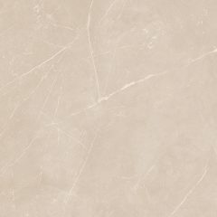 Керамогранит NL01 60x60x10 Полир. (Керамический гранит) #14
