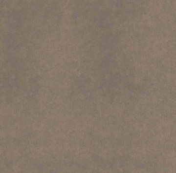 Керамогранит  CA04 60x120x9 Непол.Рект. (Керамический гранит) _6